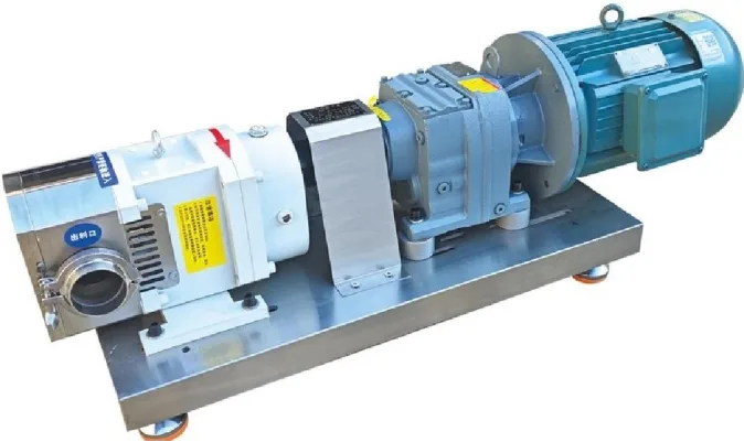 Rotor pump