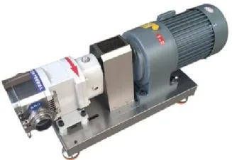 Rotor pump